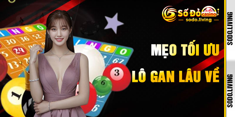 Mẹo Tận Dụng Lô Gan Lâu Về Hiệu Quả