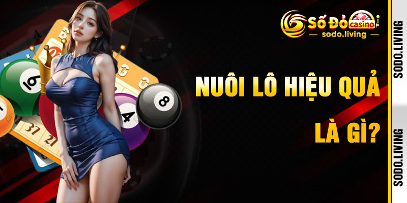 Nuôi Lô Hiệu Quả Tại Sodo Là Gì?ô hiệu quả