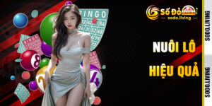 Nuôi Lô Hiệu Quả