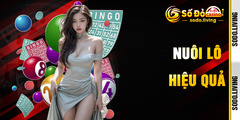 Nuôi Lô Hiệu Quả