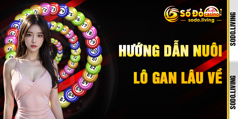 Hướng Dẫn Tận Dụng Lô Gan Lâu Về Tại Sodo